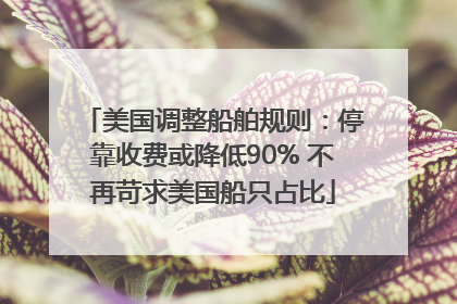 美国调整船舶规则：停靠收费或降低90% 不再苛求美国船只占比