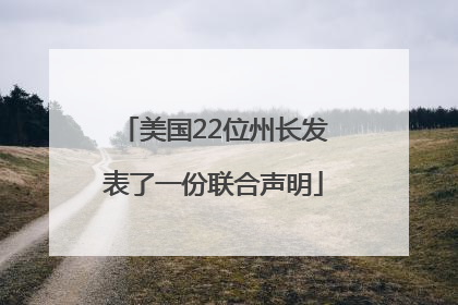 美国22位州长发表了一份联合声明