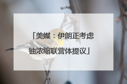 美媒：伊朗正考虑铀浓缩联营体提议