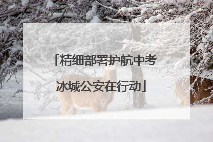 精细部署护航中考 冰城公安在行动