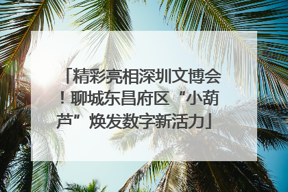 精彩亮相深圳文博会！聊城东昌府区“小葫芦”焕发数字新活力
