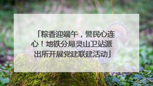 粽香迎端午，警民心连心！地铁分局灵山卫站派出所开展党建联建活动
