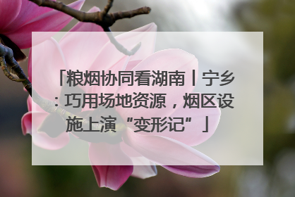 粮烟协同看湖南丨宁乡：巧用场地资源，烟区设施上演“变形记”