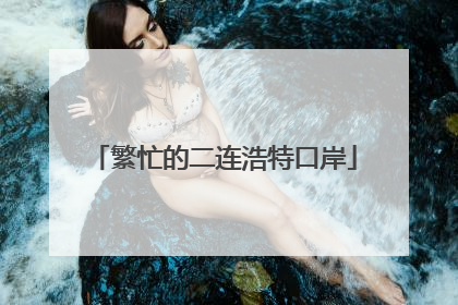繁忙的二连浩特口岸