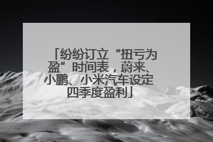 纷纷订立“扭亏为盈”时间表，蔚来、小鹏、小米汽车设定四季度盈利