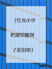 红光小学把课堂搬到了麦田里