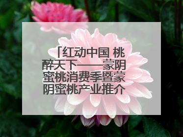 红动中国 桃醉天下——蒙阴蜜桃消费季暨蒙阴蜜桃产业推介会成功举办