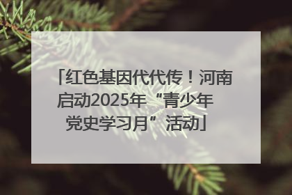 红色基因代代传！河南启动2025年“青少年党史学习月”活动