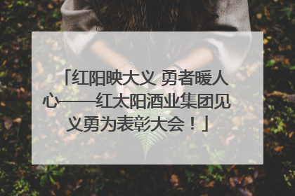 红阳映大义 勇者暖人心——红太阳酒业集团见义勇为表彰大会！