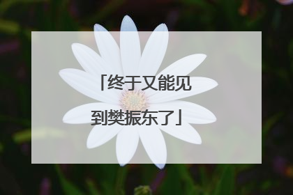 终于又能见到樊振东了