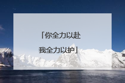 你全力以赴 我全力以护