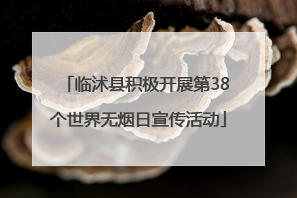 临沭县积极开展第38个世界无烟日宣传活动