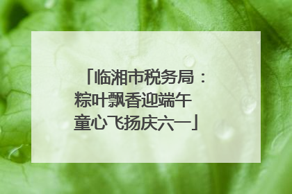 临湘市税务局：粽叶飘香迎端午 童心飞扬庆六一