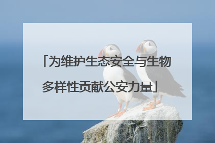 为维护生态安全与生物多样性贡献公安力量