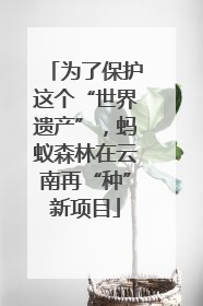 为了保护这个“世界遗产”，蚂蚁森林在云南再“种”新项目
