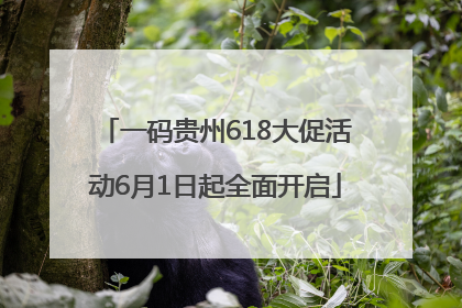 一码贵州618大促活动6月1日起全面开启
