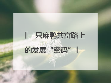 一只麻鸭共富路上的发展“密码”