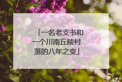一名老支书和一个川南丘陵村落的八年之变