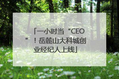一小时当“CEO”！岳麓山大科城创业经纪人上线