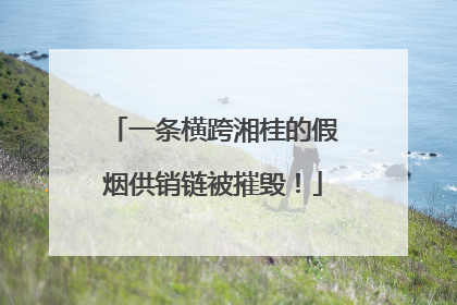 一条横跨湘桂的假烟供销链被摧毁！