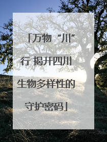 万物“川”行 揭开四川生物多样性的守护密码