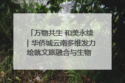 万物共生 和美永续｜华侨城云南多维发力 绘就文旅融合与生物多样性保护新图景