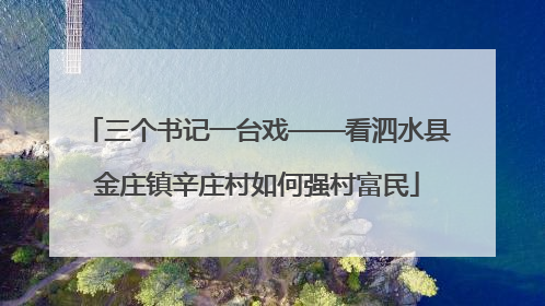 三个书记一台戏——看泗水县金庄镇辛庄村如何强村富民