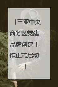 三亚中央商务区党建品牌创建工作正式启动