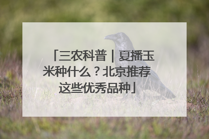 三农科普｜夏播玉米种什么？北京推荐这些优秀品种