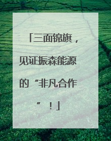 三面锦旗，见证振森能源的“非凡合作”！
