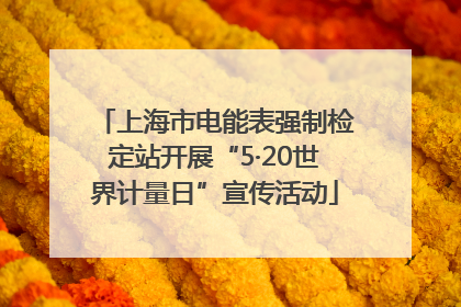 上海市电能表强制检定站开展“5·20世界计量日”宣传活动