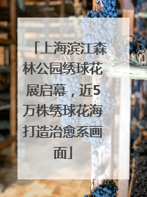 上海滨江森林公园绣球花展启幕，近5万株绣球花海打造治愈系画面