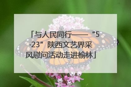 与人民同行——“5·23”陕西文艺界采风慰问活动走进榆林