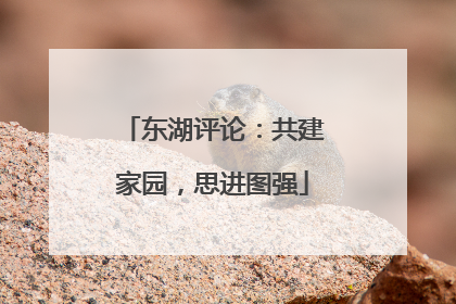东湖评论：共建家园，思进图强