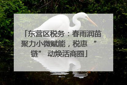 东营区税务：春雨润苗聚力小微赋能，税惠 “链” 动焕活商圈