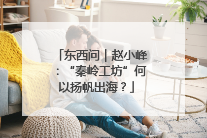 东西问｜赵小峰：“秦岭工坊”何以扬帆出海？