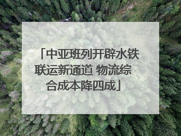 中亚班列开辟水铁联运新通道 物流综合成本降四成