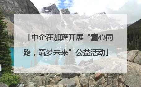 中企在加蓬开展“童心同路，筑梦未来”公益活动