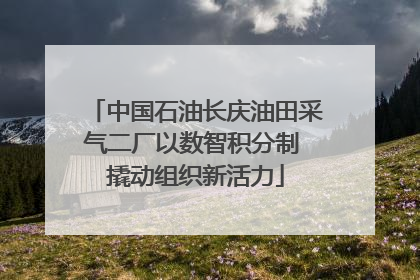 中国石油长庆油田采气二厂以数智积分制 撬动组织新活力