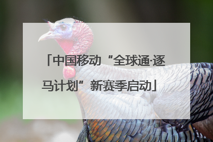 中国移动“全球通·逐马计划”新赛季启动