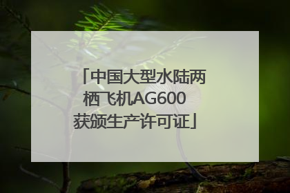 中国大型水陆两栖飞机AG600获颁生产许可证