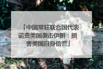 中国常驻联合国代表谴责美国袭击伊朗：损害美国自身信誉