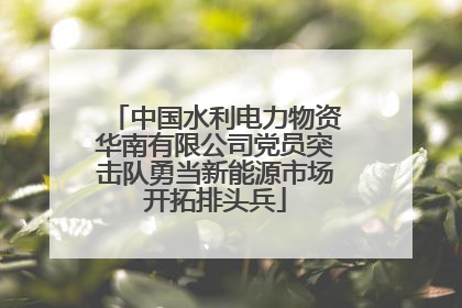 中国水利电力物资华南有限公司党员突击队勇当新能源市场开拓排头兵