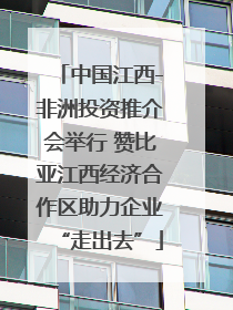 中国江西-非洲投资推介会举行 赞比亚江西经济合作区助力企业“走出去”