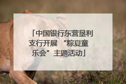 中国银行东营垦利支行开展 “粽夏童乐会”主题活动