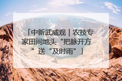 中新武威观｜农技专家田间地头“把脉开方”送“及时雨”