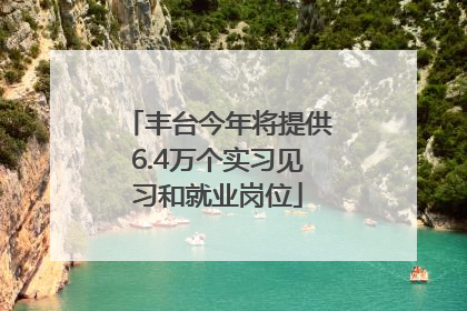 丰台今年将提供6.4万个实习见习和就业岗位