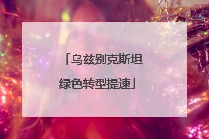 乌兹别克斯坦绿色转型提速