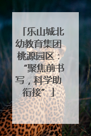 乐山城北幼教育集团桃源园区：“聚焦前书写，科学助衔接”