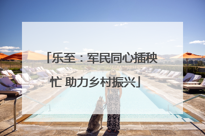 乐至：军民同心插秧忙 助力乡村振兴